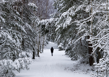Москвичам рассказали, какой 72-летний рекорд побил февраль