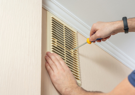 Эколог предупредил москвичей о появлении пауков в квартирах