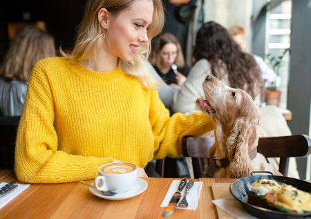 Стало известно, как россияне относятся к дог-френдли кафе