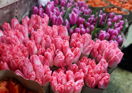 Экономист ответила, на сколько взлетят цены на букеты к 8 Марта