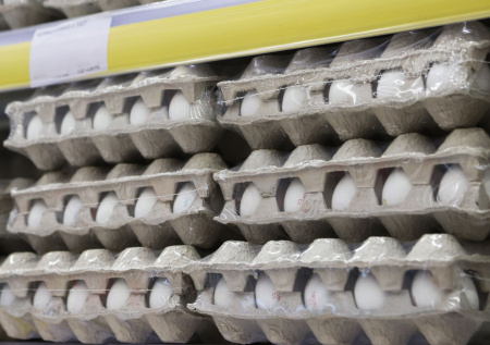 Страна ЕС впервые за почти пять лет импортировала яйца из России