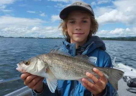 Юный рыбак поймал гигантского горбыля и побил 10-летний рекорд