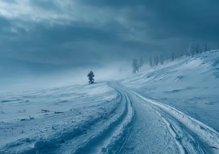 Замерзли, потерялись, сожрал медведь? Что случилось с туристами на Урале