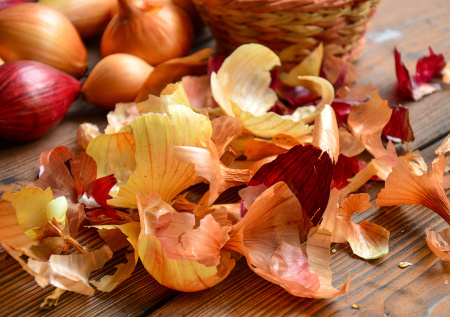 Бесплатные удобрения с вашей кухни, которые станут секретом богатого урожая