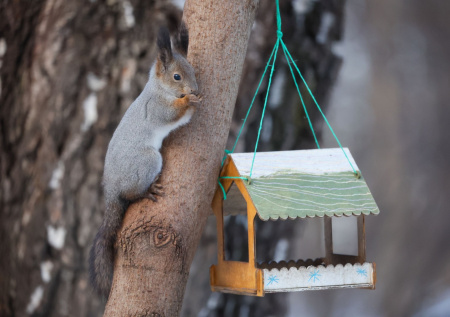 Весна уже пришла? Погода в Москве на 8 марта, оттепель и заморозки