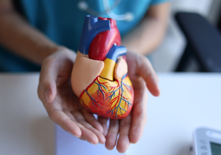 Кардиолог перечислила женские привычки, разрушающие здоровье сердца