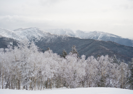 В Сети показали фото и маршрут пропавших в горах туристов