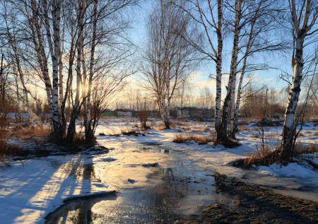 Приметы 1 марта — Ярилин день: встречаем весну в праздник солнца!