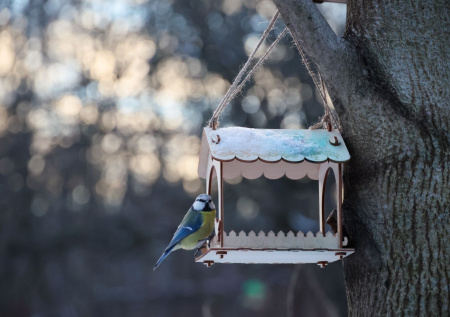 Погода в Москве в понедельник, 2 марта: ждать ли оттепели и сильных дождей