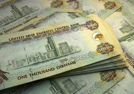 Власти ОАЭ взяли на себя расходы застрявших в стране туристов