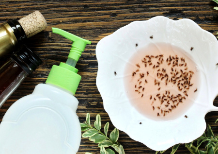 Дачников предупредили о последствиях снежной зимы