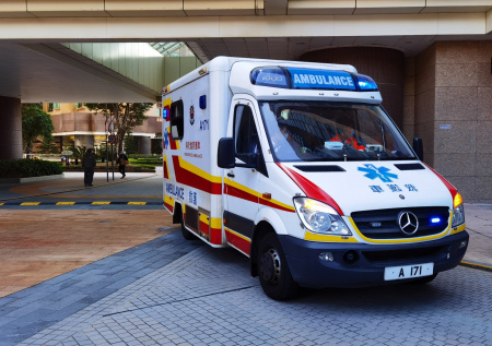 Девочка чуть не стала обедом для льва в китайском зоопарке