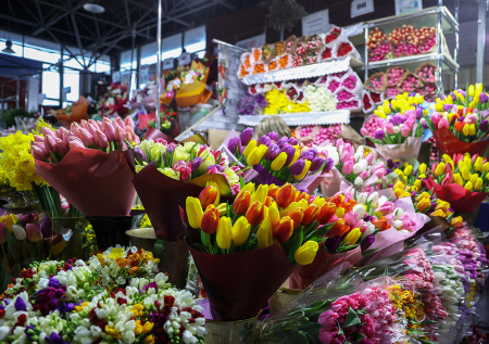 Россиян предупредили о подорожании цветов в преддверии 8 Марта