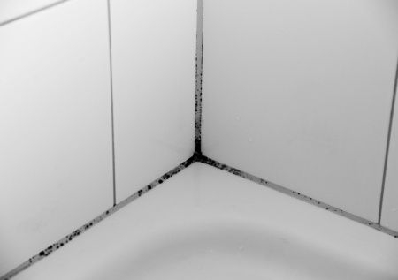 Мел против плесени — простой лайфхак для ванной и защиты стен от сырости