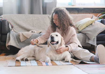 Кинолог рассказал, как уменьшить линьку собак