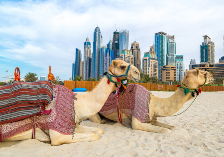 Отмена туров в ОАЭ превратилась для россиян в финансовый кошмар