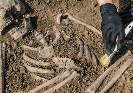 Викинга аномальных размеров нашли в Великобритании