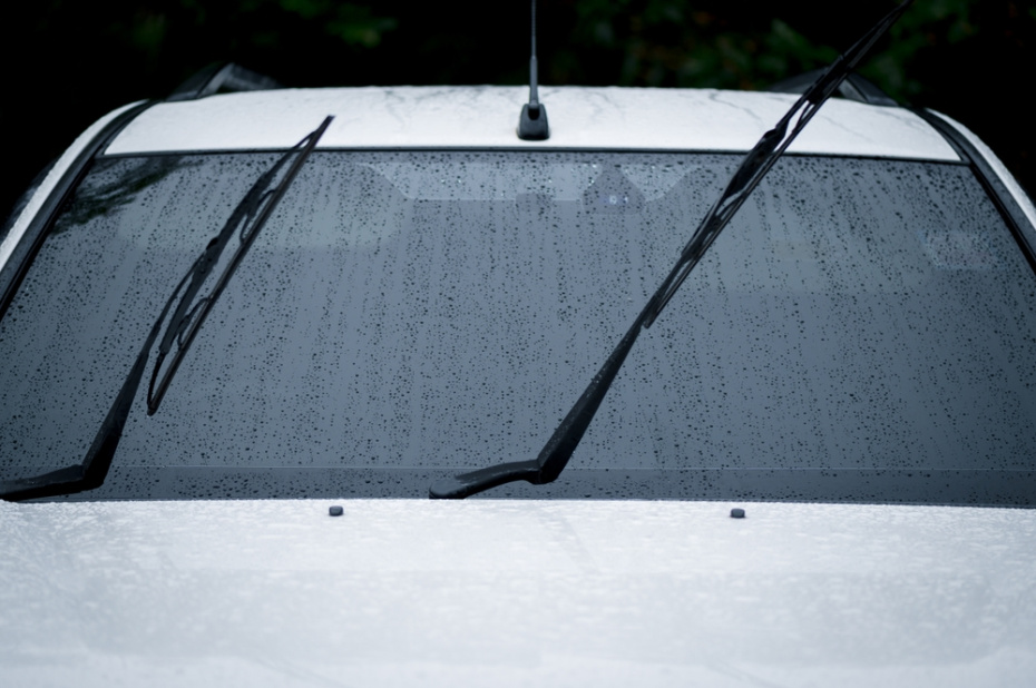 Мэри Андерсон: как она придумала стеклоочистители для автомобилей