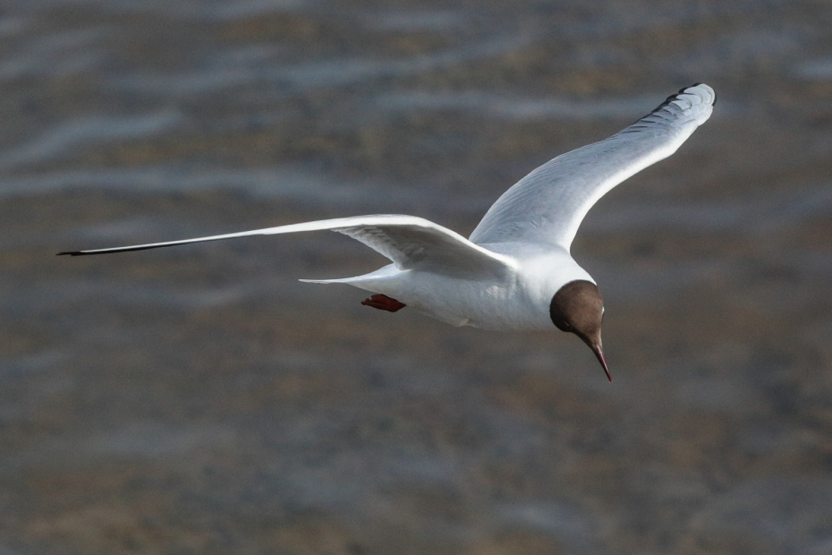 Приметы о погоде на март