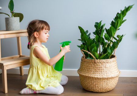 Нужно ли опрыскивать растения и чем можно заменить эту процедуру