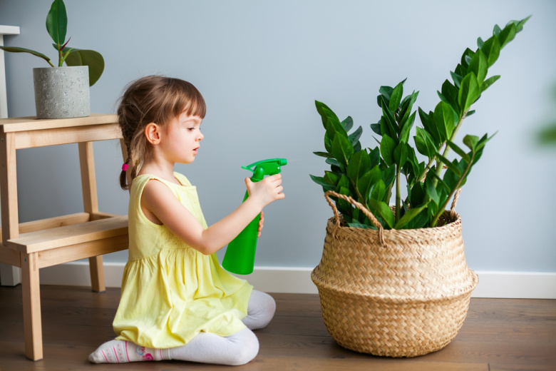 Нужно ли опрыскивать растения и чем можно заменить эту процедуру