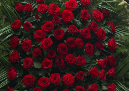 В Иране похоронили известного бодибилдера, получившего пулю в глаз