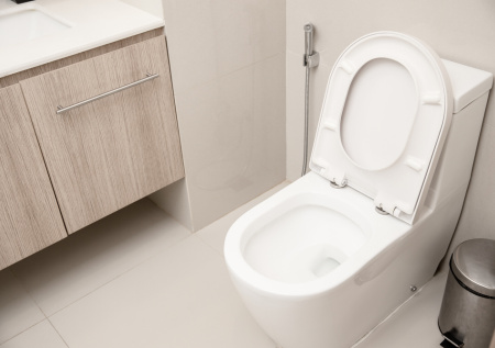 Чистка туалета без усилий — простой способ от польских домработниц для экономии и чистоты