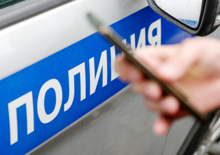 Вооруженные хулиганы напугали россиян с собаками без намордников