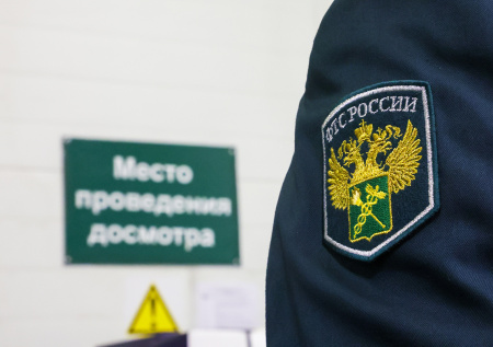 Когти медведя изъяли у иностранца на таможне