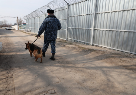 В России начали пустеть тюрьмы