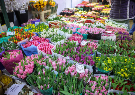 В Госдуме призвали остановить резкий рост цен на цветы к 8 Марта