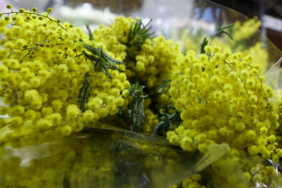 С весной вас, товарищи: как в СССР отмечали Международный женский день