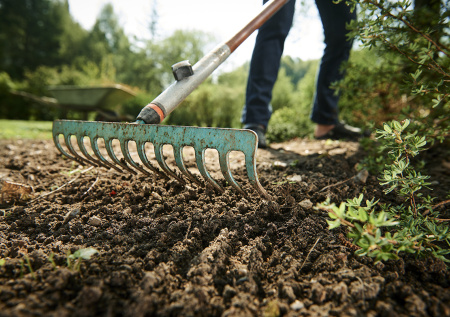 Секреты бывалых огородников: готовим садовый инструмент к весне правильно