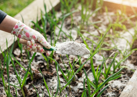 Никакой лопаты и тяпки: рассыпьте это по грядкам в марте — земля будет рыхлой и благородной