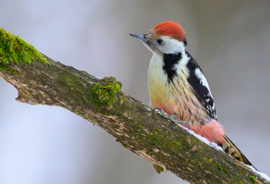 Приметы о погоде на Поликарпа, 7 марта