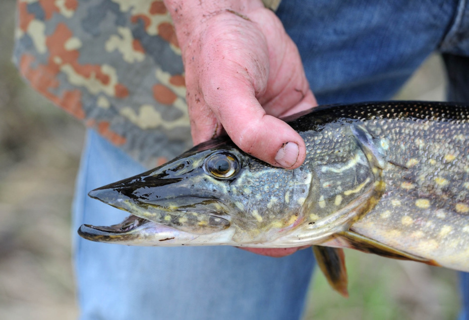 Рыбалка в марте-2026: календарь клева и на кого ловить в начале весны