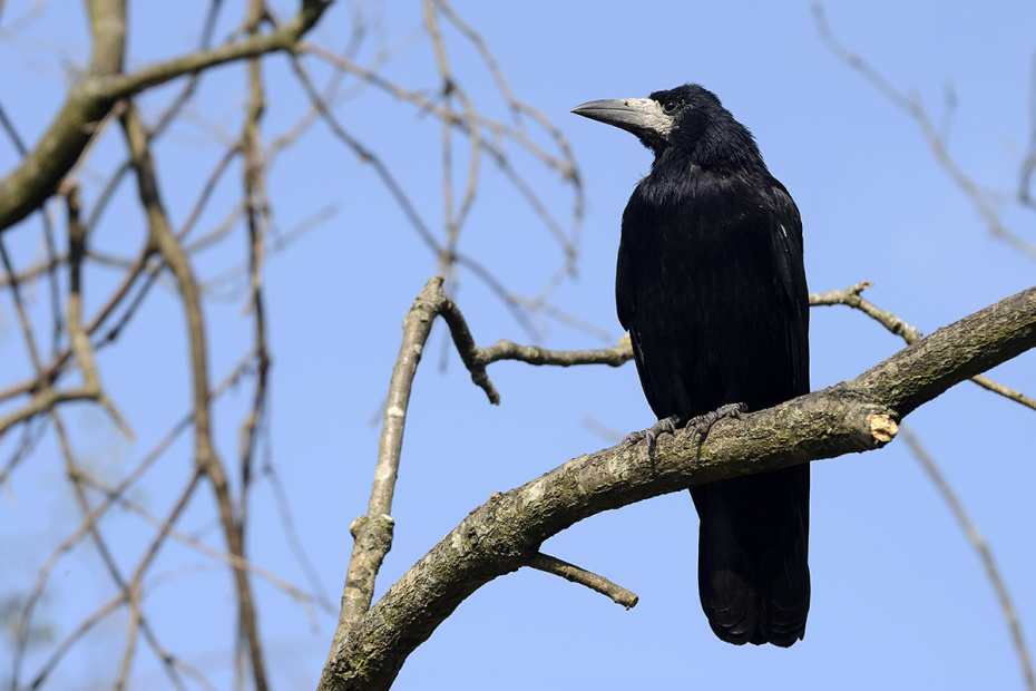 Что можно и нельзя делать 10 марта?