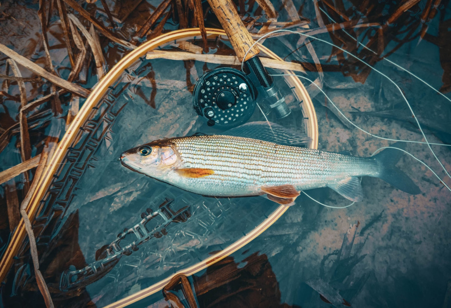 Календарь клева для рыболова на март-2026: кого и где ловить