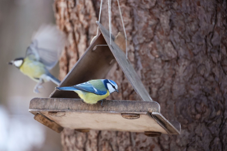 Приметы на 8 марта