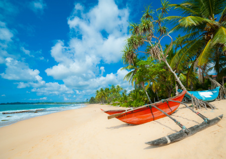 Шри-Ланка стала ловушкой для российских туристов