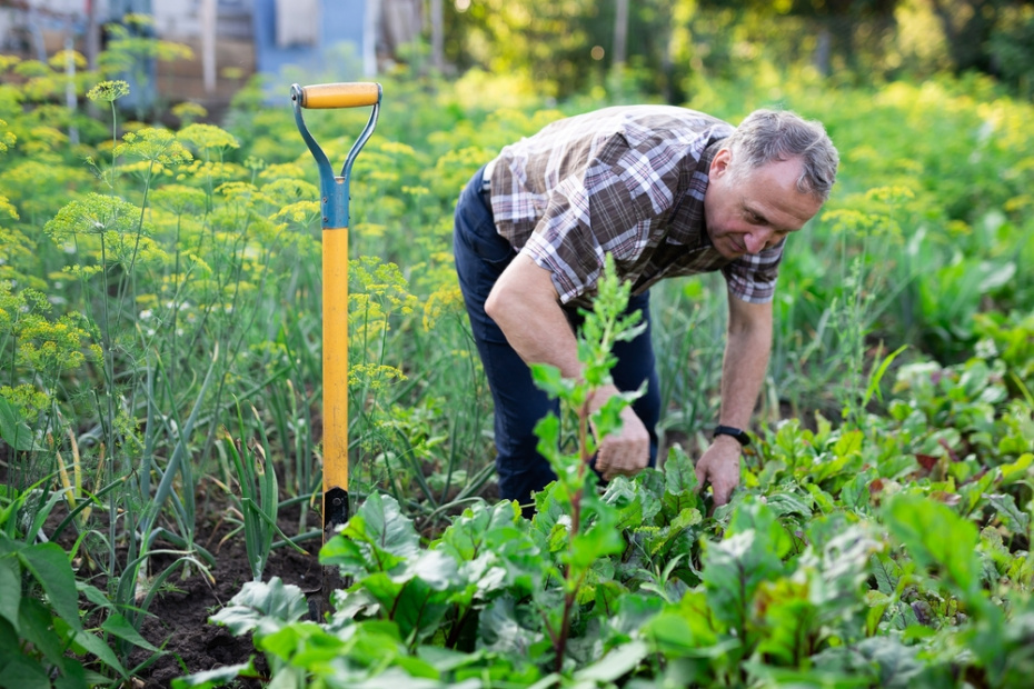 Налог на имущество: льготы для пенсионеров