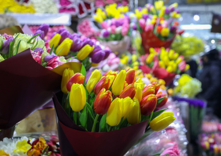 «Продавцы тюльпанов» обманули россиянина перед 8 Марта