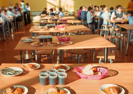 Вспышка кишечной инфекции произошла в российской школе