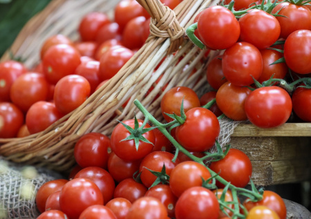 Названа категория людей, кому нужно с осторожностью есть помидоры