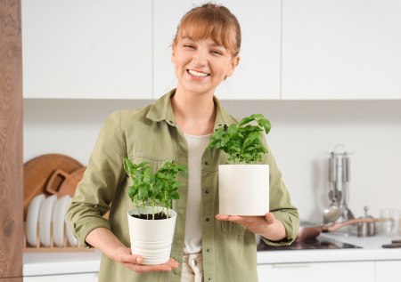 Комнатный садик на подоконнике: что посадить для чая, салата и аромата