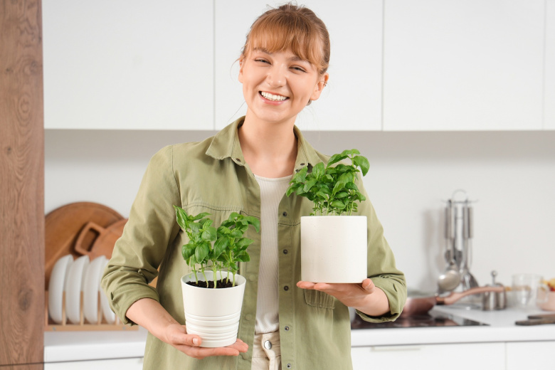 Что посадить для домашнего чая