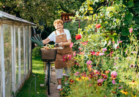 Льготы для пенсионеров-дачников в 2026 году: налоги, вычеты и оформление