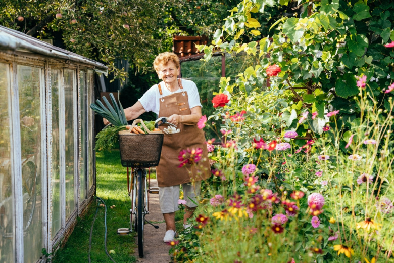 Льготы для пенсионеров-дачников в 2026 году