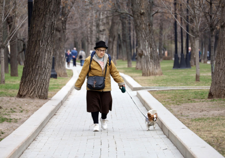 Налоги для пенсионеров в 2026 году: льготы, освобождения и вычеты