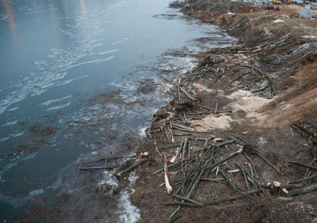 Местный рыбак рассказал о судьбе одного из пропавших в Подмосковье детей